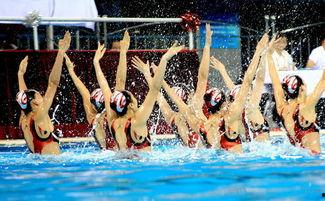 水上花图片,绽放于碧波之上的自然画卷