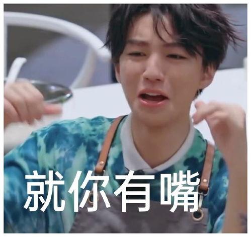 王俊凯丑照表情包