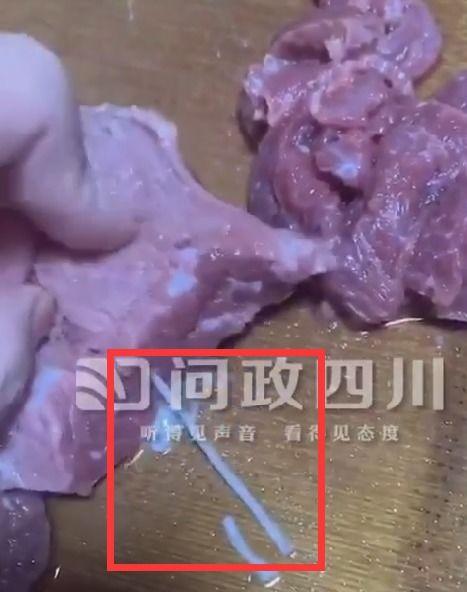牛肉里寄生虫图片